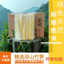 清水笋尖商用批发袋装笋新鲜涮火锅食材竹笋新鲜嫩笋尖现挖嫩竹笋
