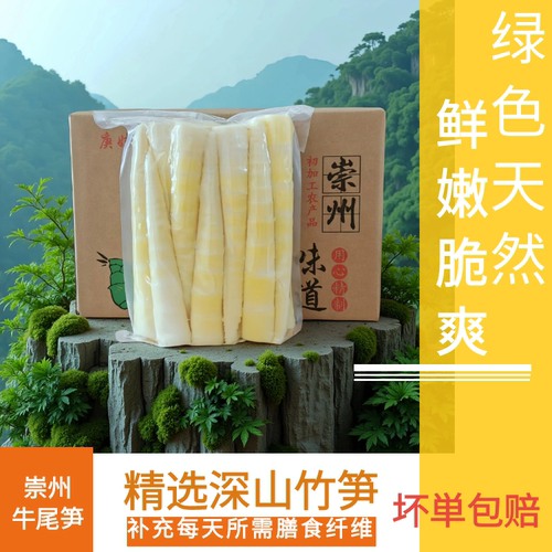 新鲜竹笋新鲜竹笋现挖