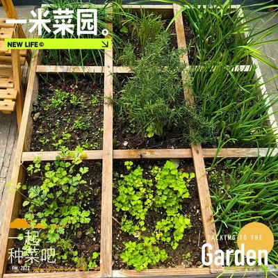 阿花和小草一米菜园实木北欧风楼顶庭院露台种菜养花抬高种植箱