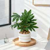 沁园春北欧风仿真植物盆景室内自然装 饰绿植盆栽家居摆设桌面摆件