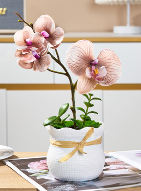 餐桌花摆花假花绿植小盆栽插花