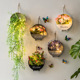 北欧ins风沁园春塑料壁挂花篮客厅室内餐厅墙面装 饰创意阳台挂件