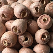 包邮 2025年新货 莲子500G 农家自种新莲子无芯红莲 湘莲去芯500g