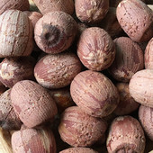 农家自产 红莲子 莲子干货有芯500g 1斤 2025年新货 包邮 小粒莲子