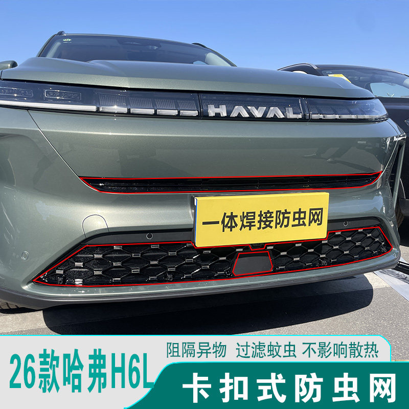 26款哈弗H6L前脸中网格栅防虫网
