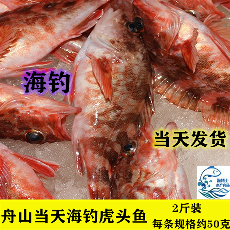 2斤约20条海鲜虎头鱼石头鲈小狼鱼石翁鱼石九公小红斑新鲜包邮