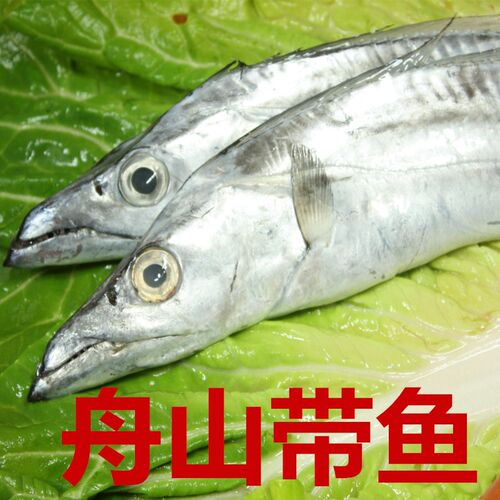 渔博士水产舟山小眼睛海捕带鱼