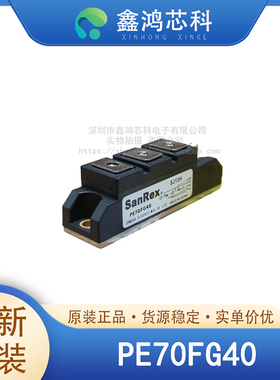 原装正品 PE70FG40 MODULE 可控硅模块
