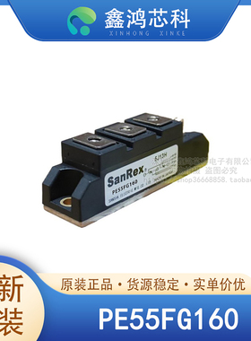 原装正品 PE55FG160 MODULE 可控硅模块
