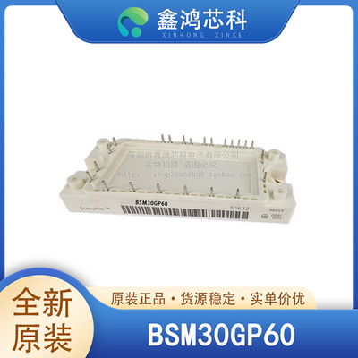 原装正品BSM30GP60MODULE