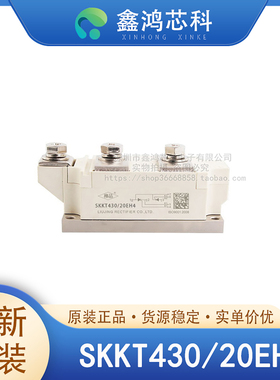 原装正品 SKKT430/20EH4 MODULE IGBT可控硅功率模块