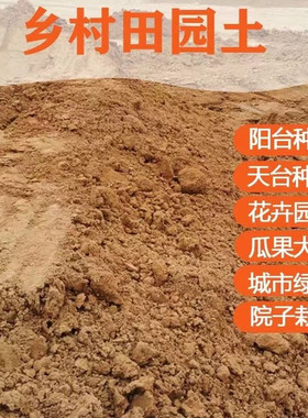 海棠花梅花木本植物田园土无污染不结板绿植花卉苗木种菜种花包邮