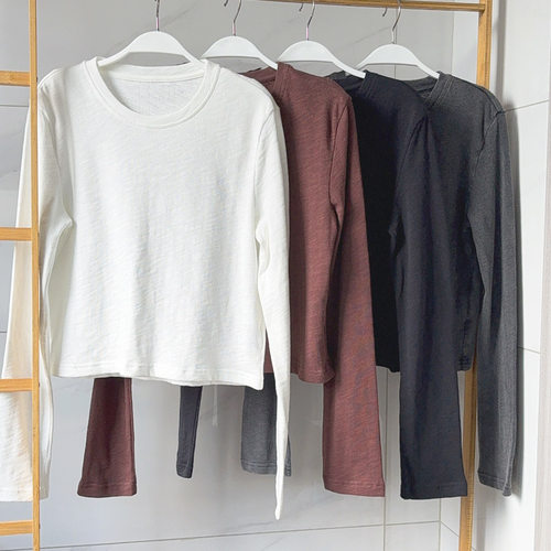 多色囤绒感100棉万搭磨毛圆领T恤