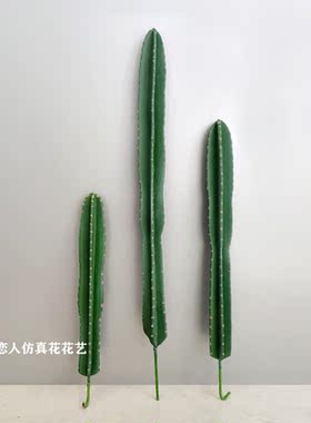 大型仿真北欧植物落地盆栽仙人掌