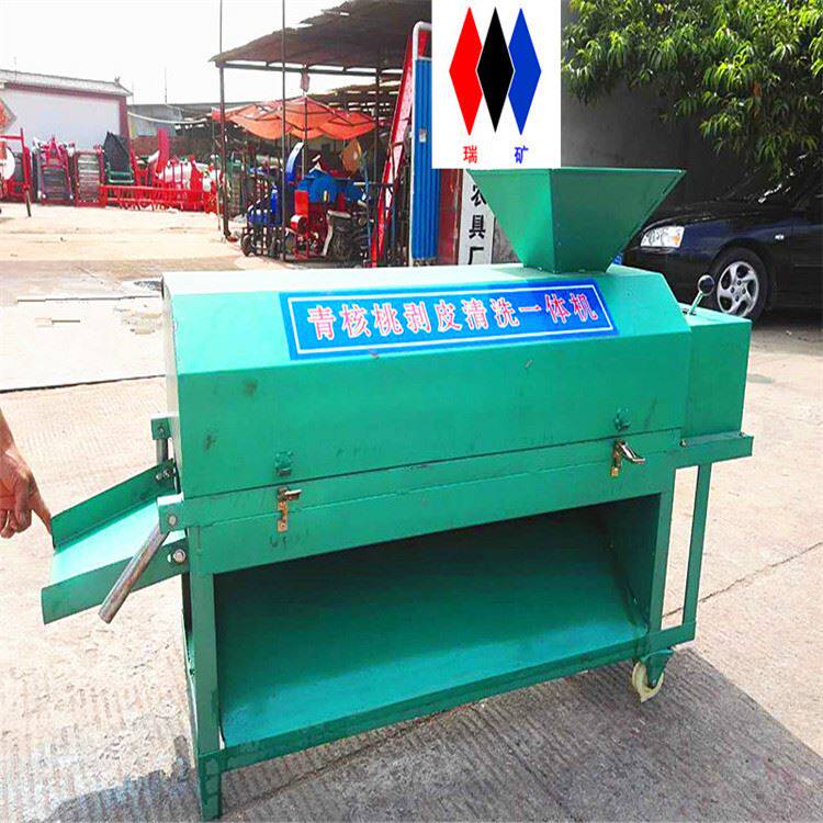 青皮核桃去皮机水洗毛刷脱皮机 鲜核桃剥皮机电动核桃去皮清洗机