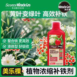美乐棵调酸补铁剂螯合铁茉莉杜鹃栀子茶花卉喜酸植物缺铁黄叶肥料