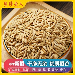 稻谷农家天然喂鸡饲料50斤小鸡芦丁鸡小鸟鹦鹉喂食谷子稻子