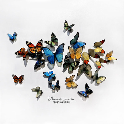 蝴蝶发夹合集森系边夹一字夹