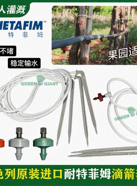 耐特菲姆蓝莓专用滴头滴灌