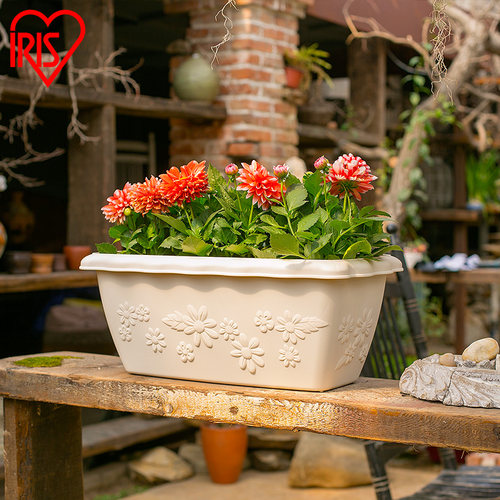 爱丽思IRIS 日本加厚 个性凸纹塑料大号长方形花盆栽花盆阳台种菜