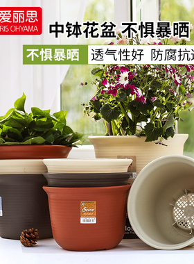 爱丽思花盆ZEN中型多肉花盆 塑料仿陶瓷 中钵大口径吊兰花盆 小花