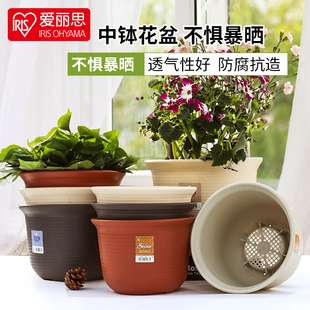 小花 中钵大口径吊兰花盆 爱丽思花盆ZEN中型多肉花盆 塑料仿陶瓷