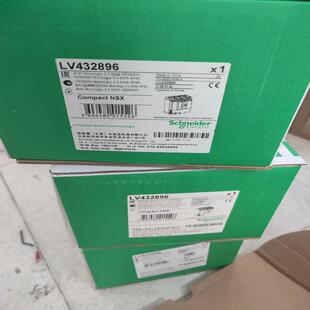 施耐德LV532896塑壳断路器空气开关NSX6 备件/咨询