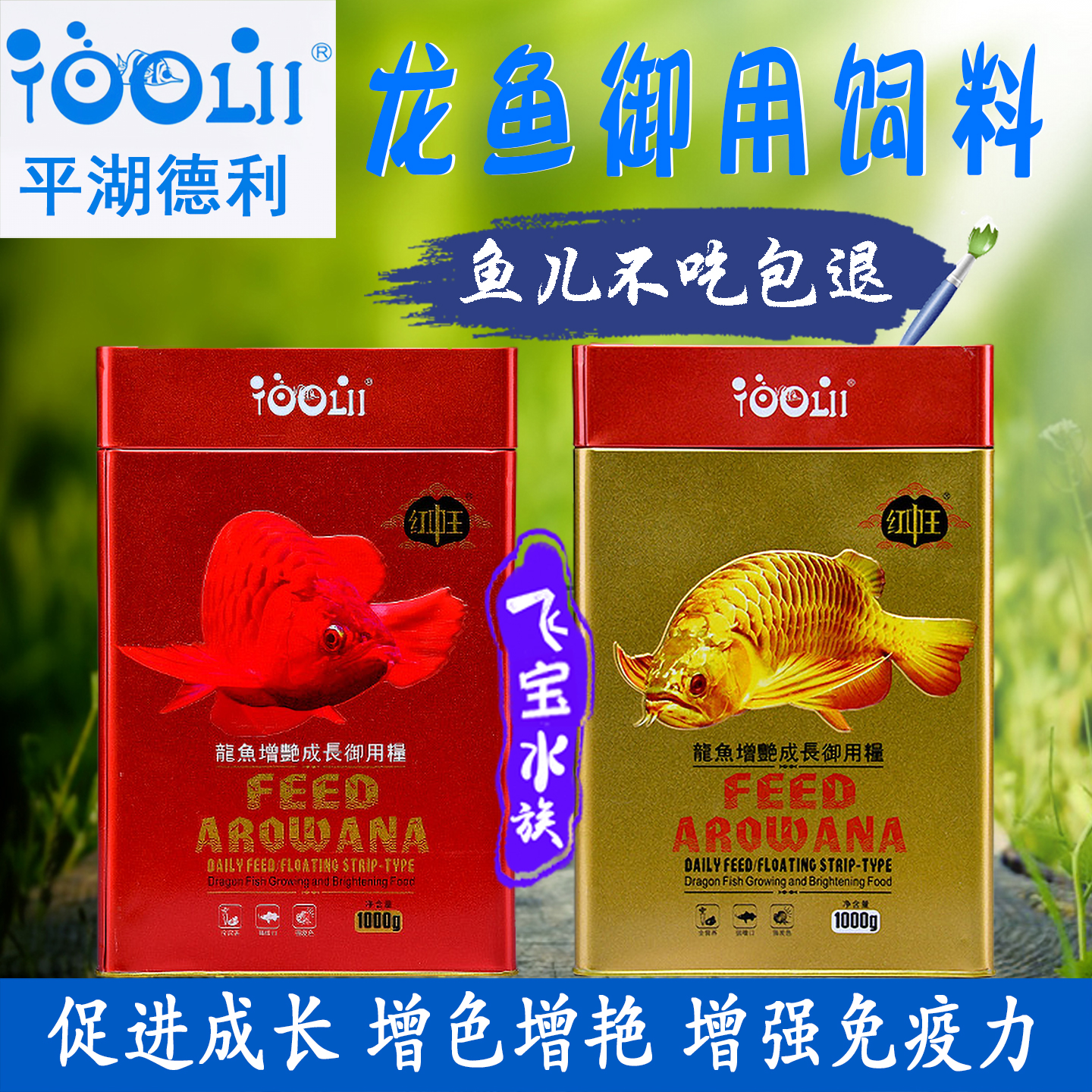 红中王龙鱼饲料金龙红龙专用鱼食