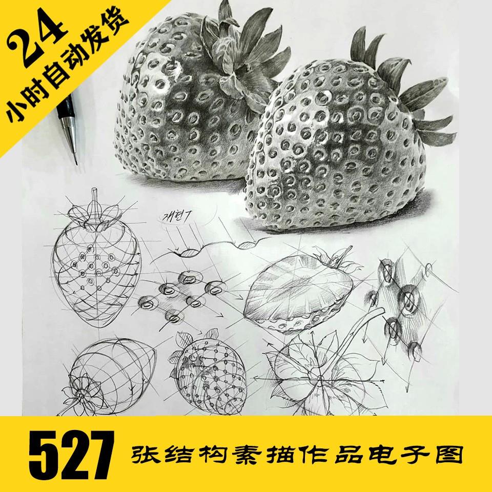 S050 结构素描电子图527张 人物动物静物素描 临摹素材 持续更新