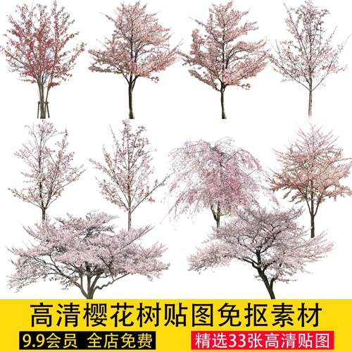 PSD高清园林景观植物樱花树立面剖面图效果图分层素材PNG免抠贴图