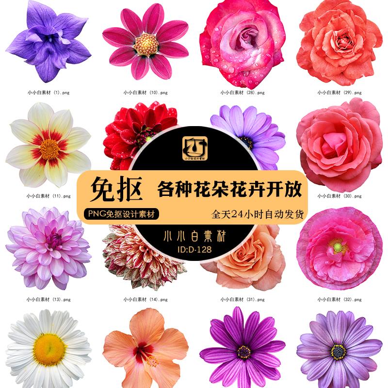 44张高清各种花朵花卉开放免抠剪贴PNG图片平面装饰元素设计素材