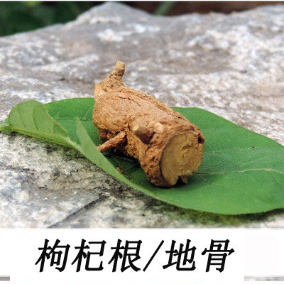 野生枸杞根 带芯地骨皮 新货500g 红柳根 枸杞子根 老根 枸杞头
