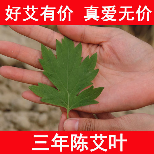 5年陈艾野生陈艾叶干艾草叶 端午艾泡脚泡澡包邮 桑梓人家