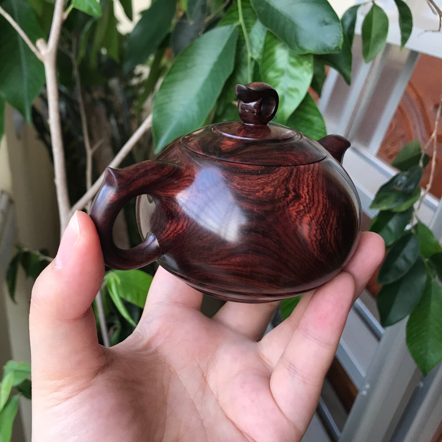 海南黄花梨老料紫油梨高油高密对眼鬼脸壶器型收藏摆件