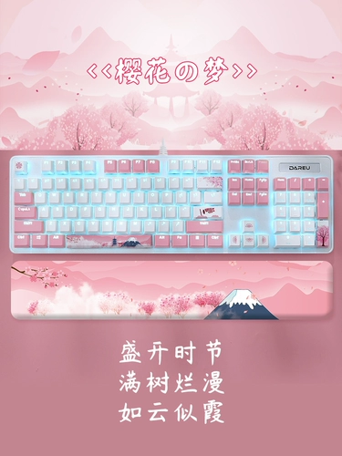 Daeryou 