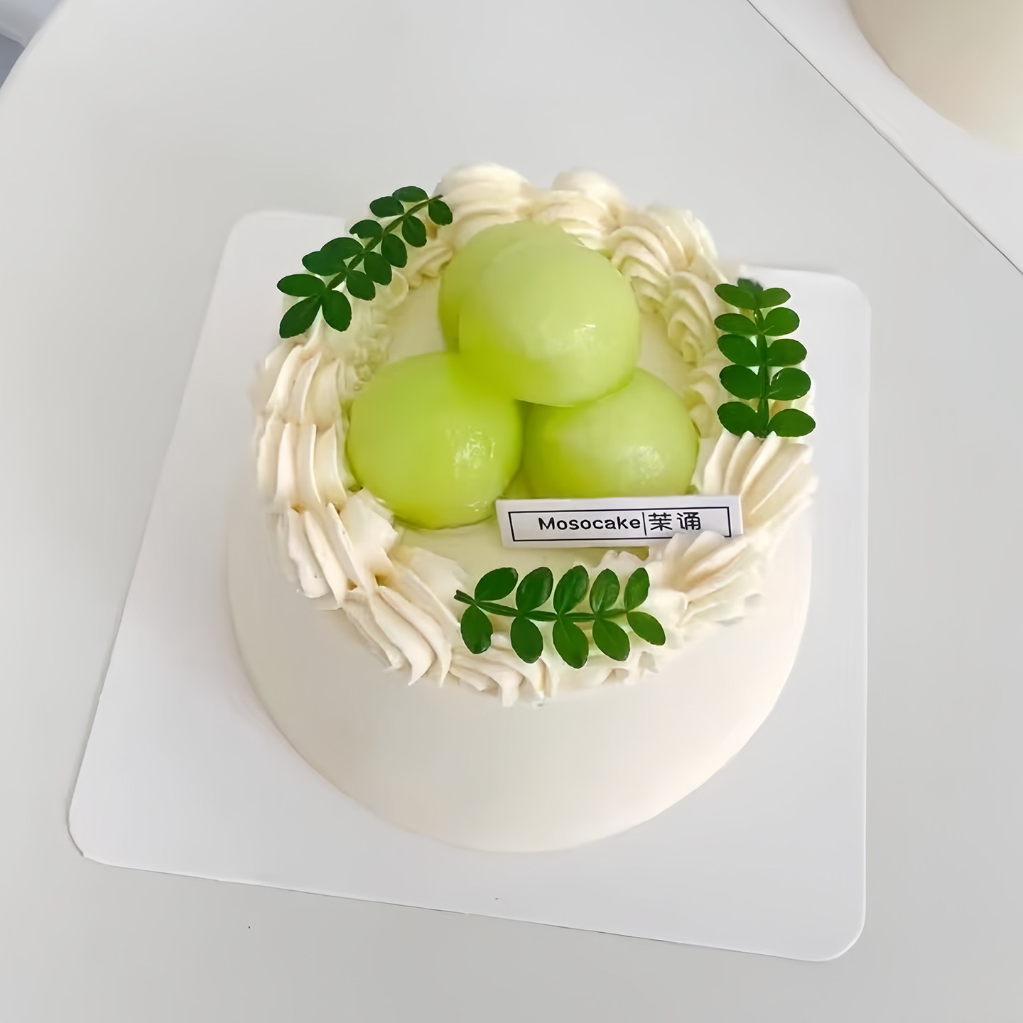 清香木枝条叶子翻糖模具