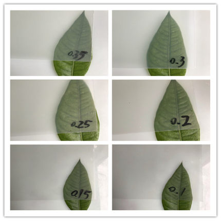 加工定制PEEK优力胶PU聚氨酯聚醚醚酮玻纤硅橡胶垫片圈异形件来图