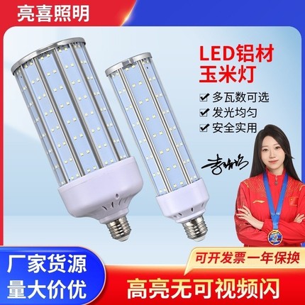 高亮led铝型材散热玉米灯路灯中华庭院灯工程改造室内商用照明灯