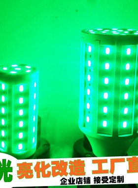 超亮绿光LED玉米灯植物生长灯E27螺口彩色灯泡12V24V36V110V220V