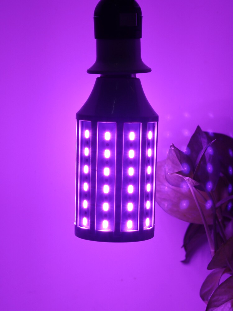 迅猛龙猪肉铺补光灯彩色玉米灯泡红蓝绿黄粉紫白暖光网红直播拍照