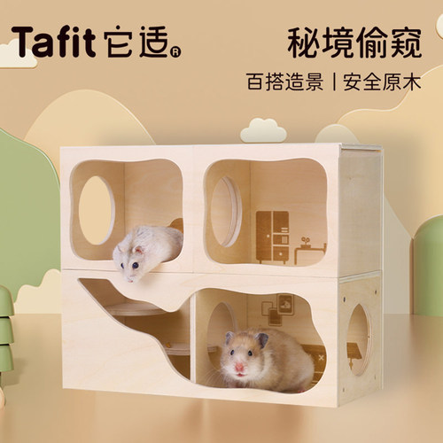 它适仓鼠躲避屋秘境偷窥款