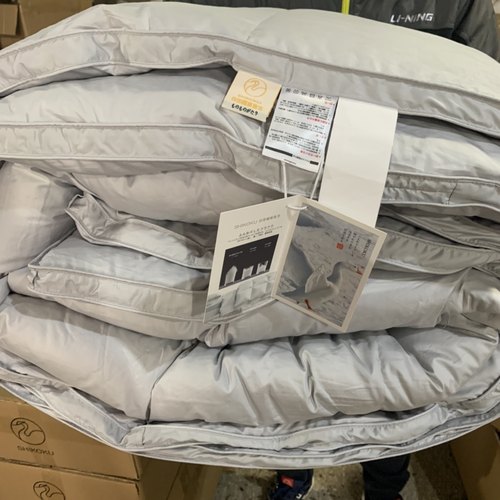 外贸日单白鹅绒被羽绒被轻柔保暖双人秋冬用保暖200x230cm冬被