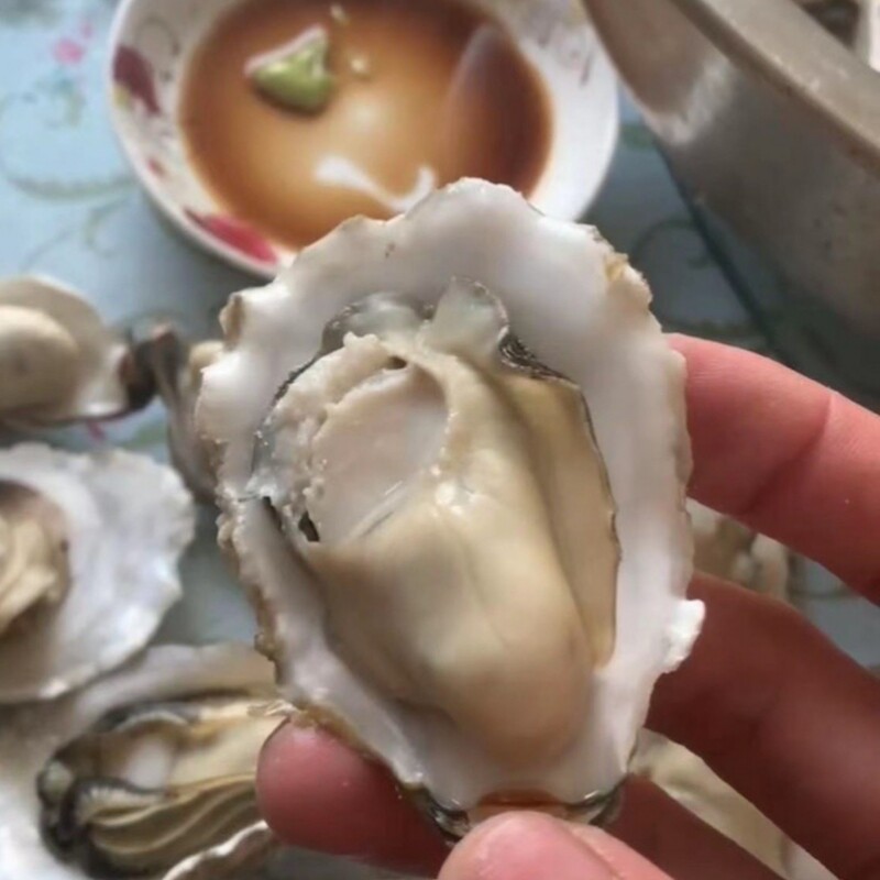 莱州海蛎子生蚝肉厚皮薄麻辣牡蛎嫩肥5斤1箱省内顺丰包邮当天捕捞