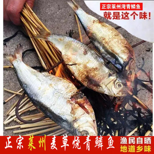 莱州青鳞鱼活鲜淡干自晒掖县青板柳叶青皮燕子鱼青眼500g咸鱼包邮