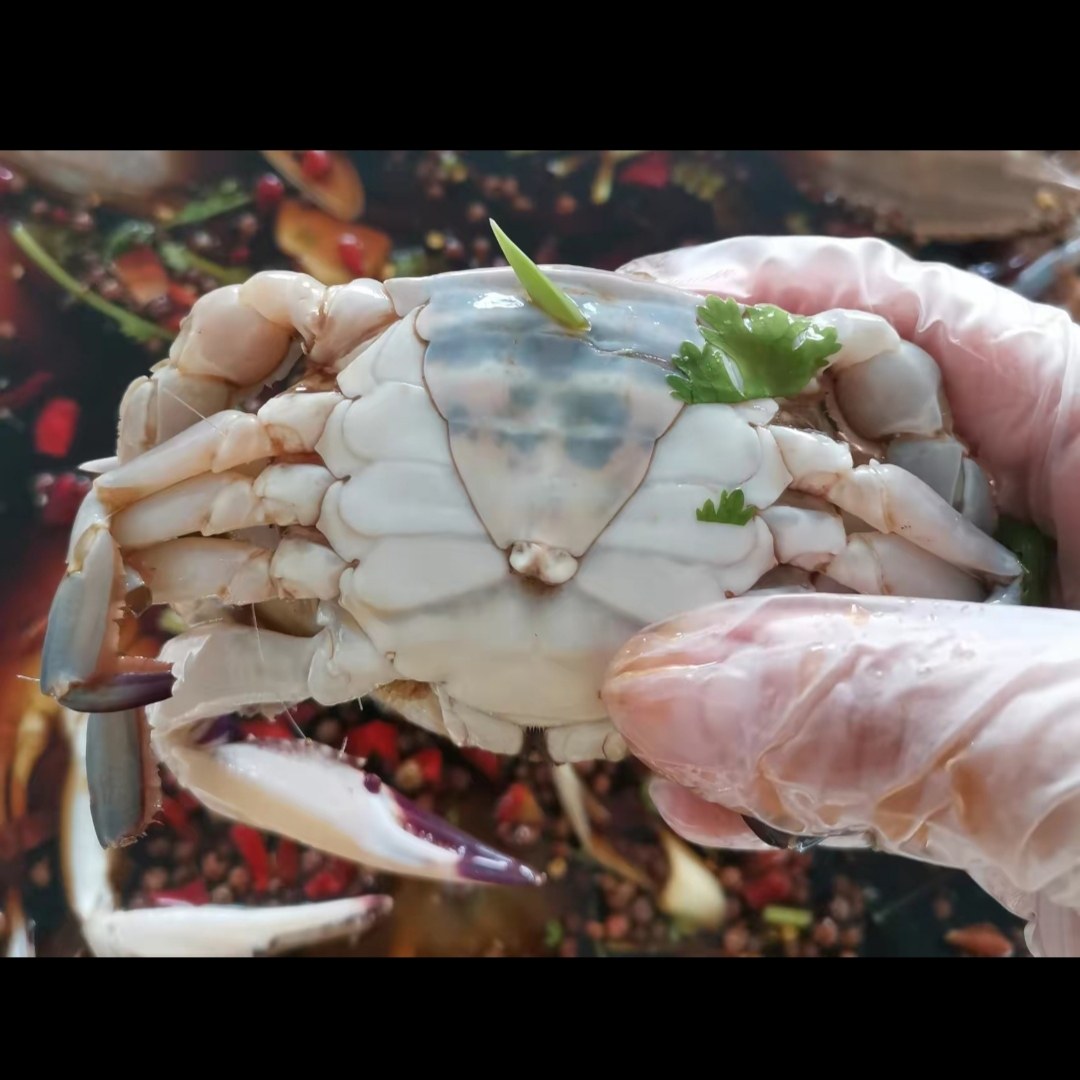 生呛火燎蟹腌花盖蟹1斤基尾虾火燎蟹莱州炝蟹即食梭子蟹捞汁1卤鲜