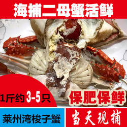 莱州梭子蟹二母蟹2两花旗花刺小蟹当天海捕保鲜不保活480g肥单挑
