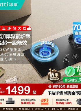 华帝燃气灶i10309煤气家用双灶定时天然气液化气灶猛火官方旗舰店