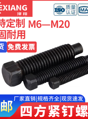 GB85方头紧定螺丝国标碳钢方头长圆柱螺钉凸尾方头螺丝M6M8M16M20