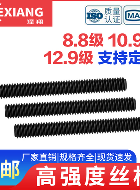 8.8/10.9/12.9级螺杆丝杆全牙全螺纹高强度通丝杠牙条M6M8M10M64