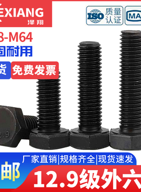 M48M52M56M60M64 12.9级高强度外六角螺丝加长全牙螺栓合金钢螺杆